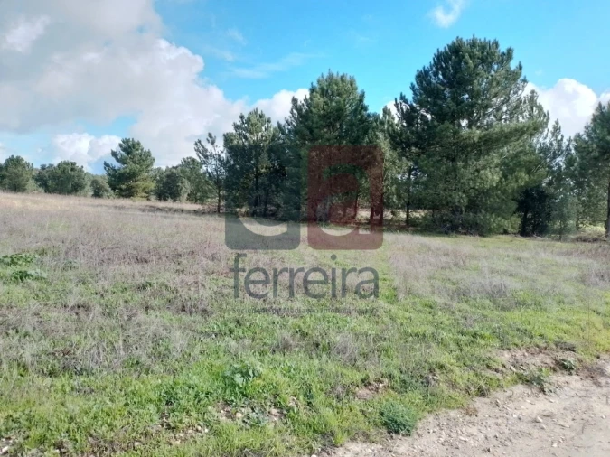 Terreno para Venda em Fazendas de Almeirim Foto 5