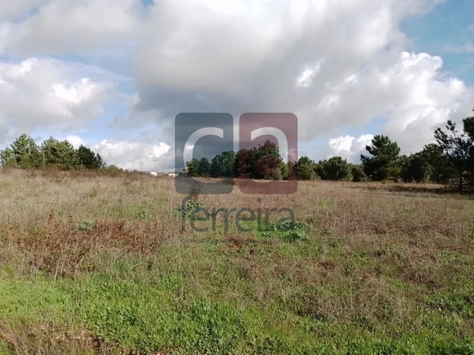 Terreno para Venda em Fazendas de Almeirim Foto 7