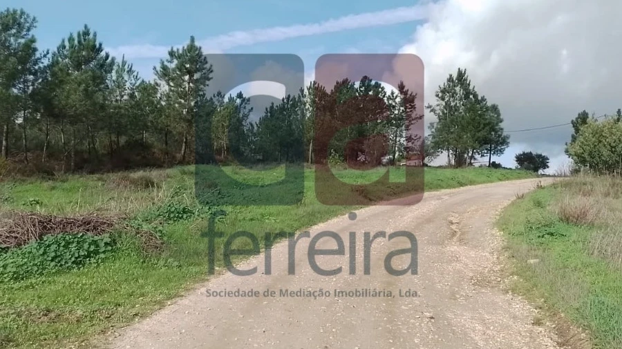 Terreno para Venda em Fazendas de Almeirim