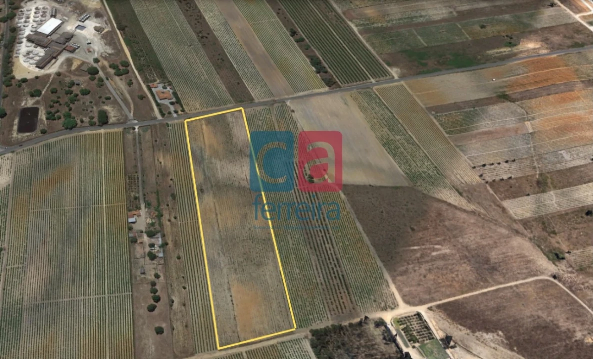 Terreno para Venda em Alpiarça Foto 1