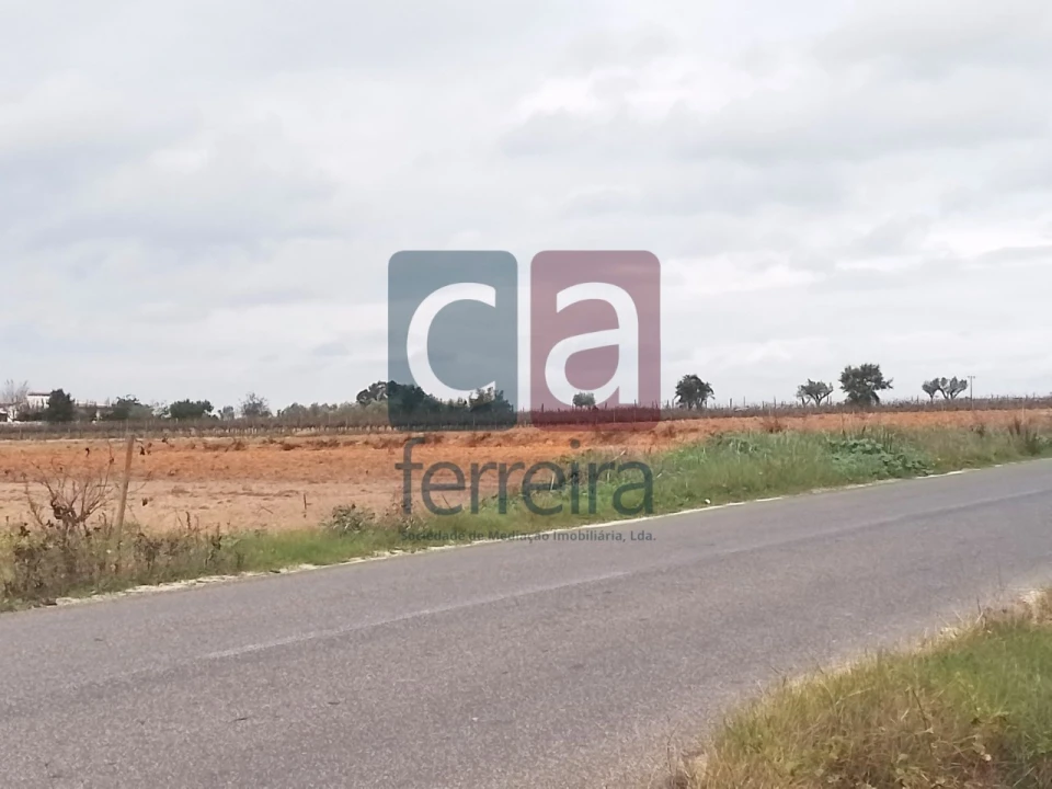Terreno para Venda em Alpiarça Foto 4