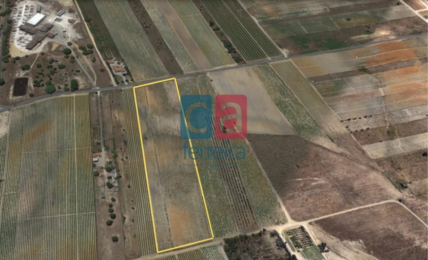 Terreno para Venda em Alpiarça Foto 1