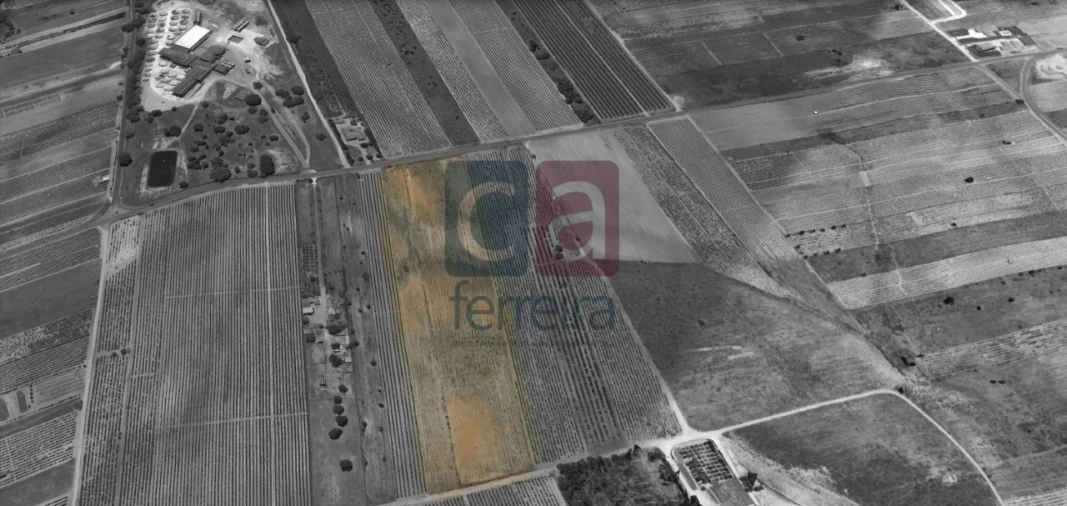 Terreno para Venda em Alpiarça Foto 2