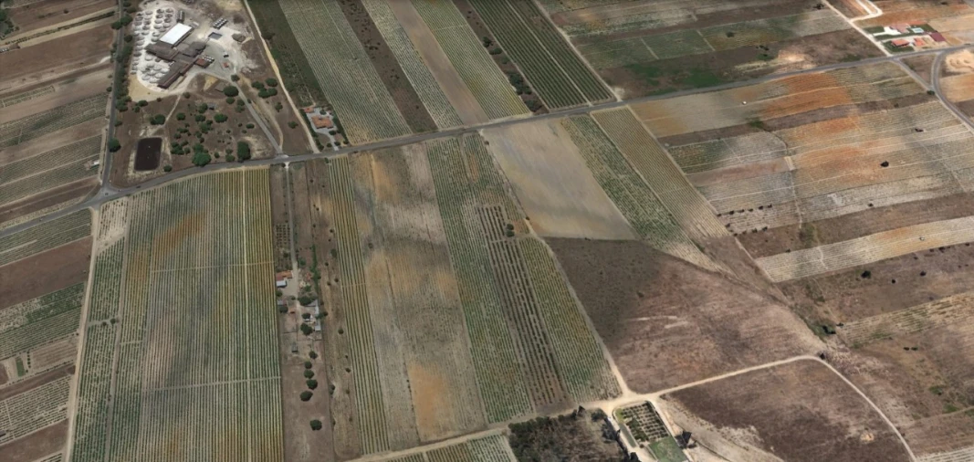 Terreno para Venda em Alpiarça Foto 3