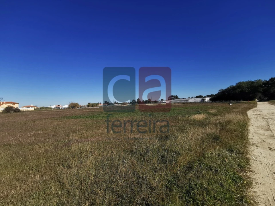 Terreno para Venda em Alpiarça Foto 4