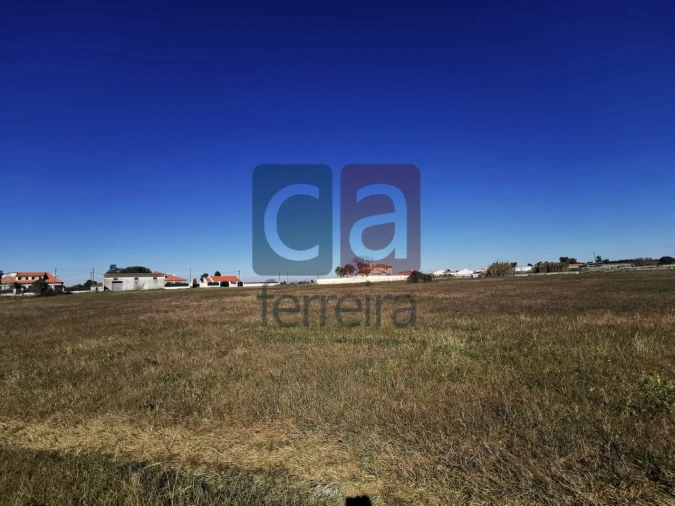 Terreno para Venda em Alpiarça Foto 3
