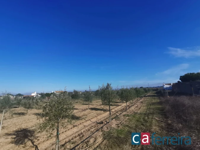 Terreno para Venda em Benfica do Ribatejo