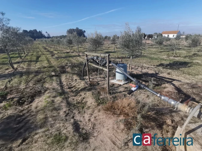 Terreno para Venda em Benfica do Ribatejo Foto 14