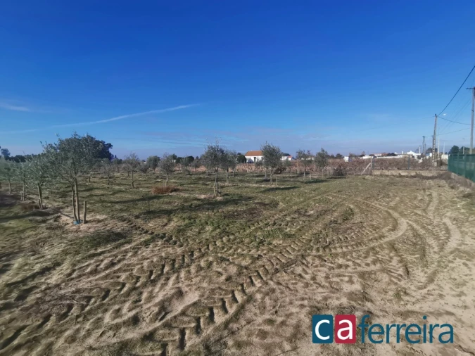 Terreno para Venda em Benfica do Ribatejo Foto 16
