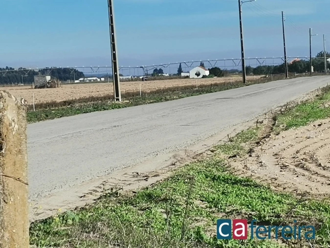 Terreno para Venda em Benfica do Ribatejo Foto 19