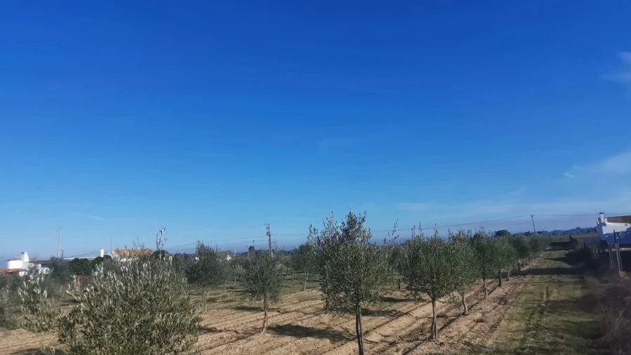 Terreno para Venda em Benfica do Ribatejo