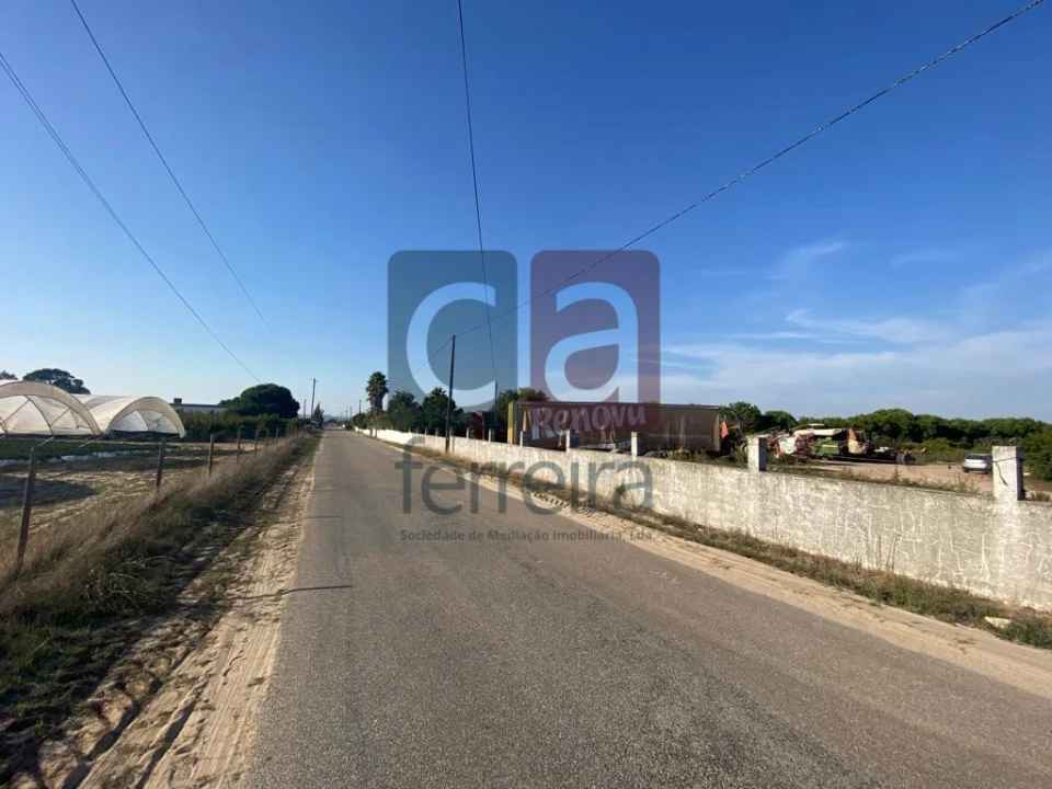 Terreno para Venda em Alpiarça Foto 3