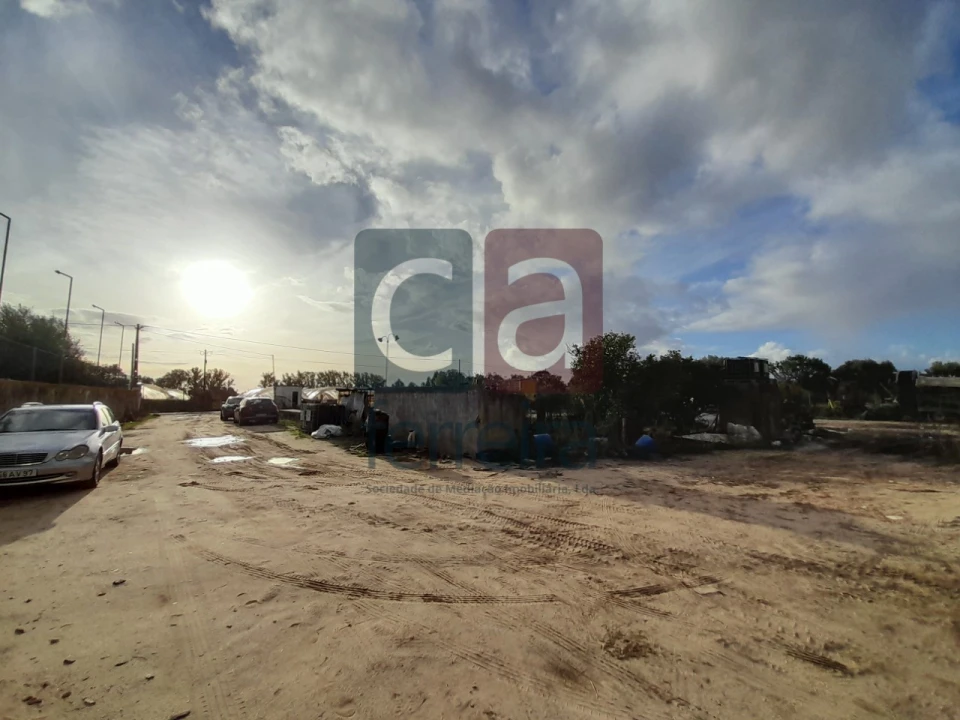 Terreno para Venda em Alpiarça Foto 8