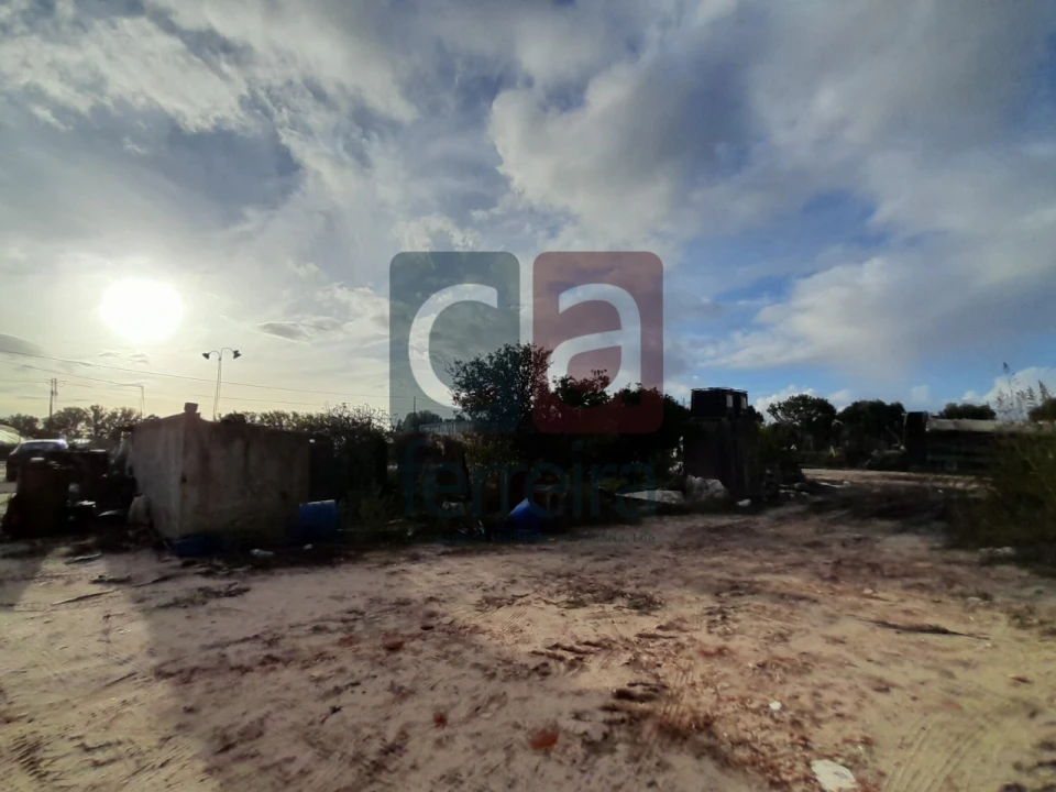 Terreno para Venda em Alpiarça Foto 9