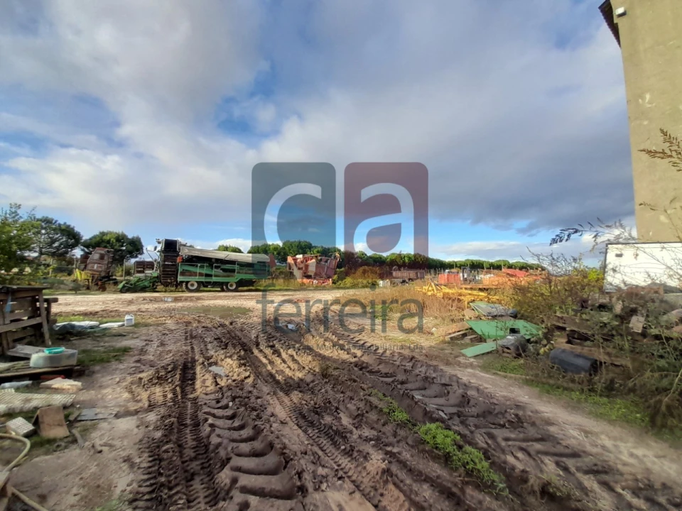 Terreno para Venda em Alpiarça Foto 10