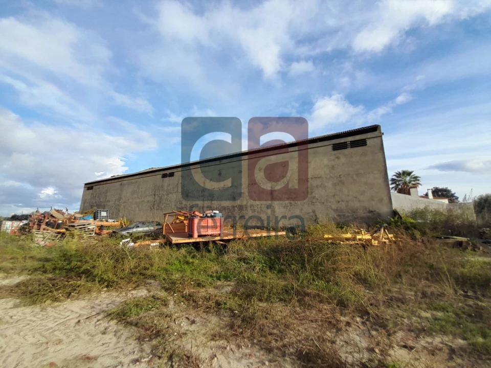 Terreno para Venda em Alpiarça Foto 13