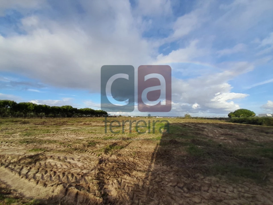 Terreno para Venda em Alpiarça Foto 15
