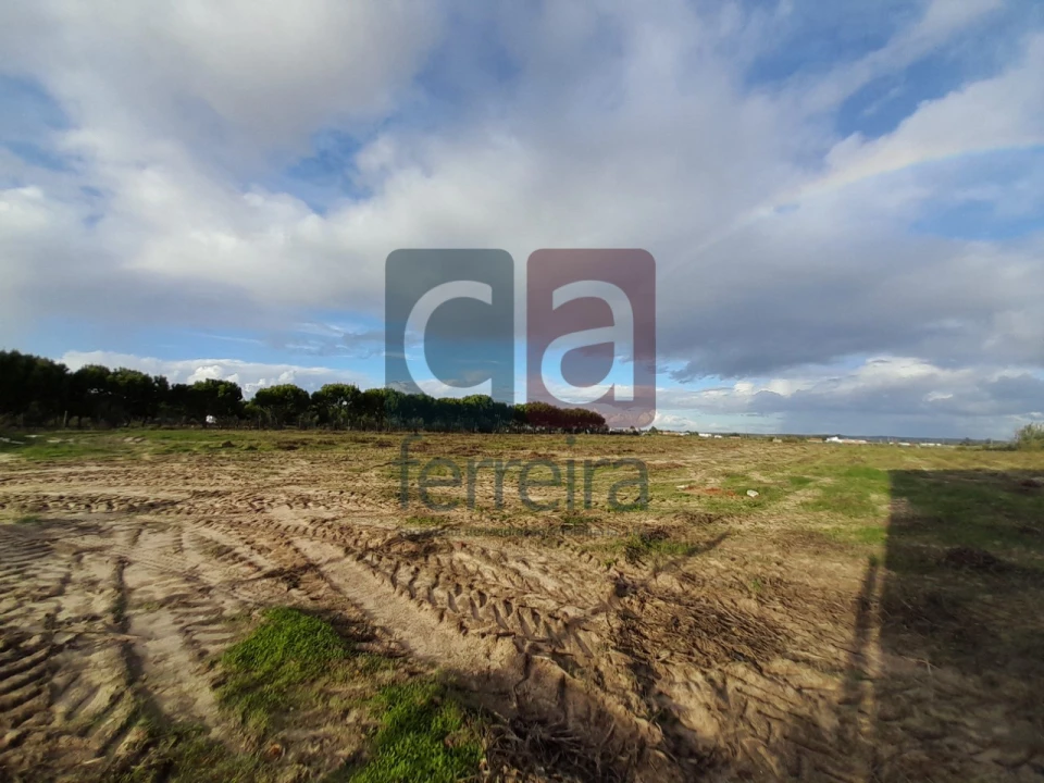 Terreno para Venda em Alpiarça Foto 16