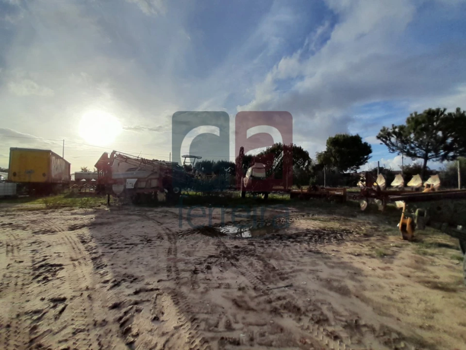 Terreno para Venda em Alpiarça Foto 19