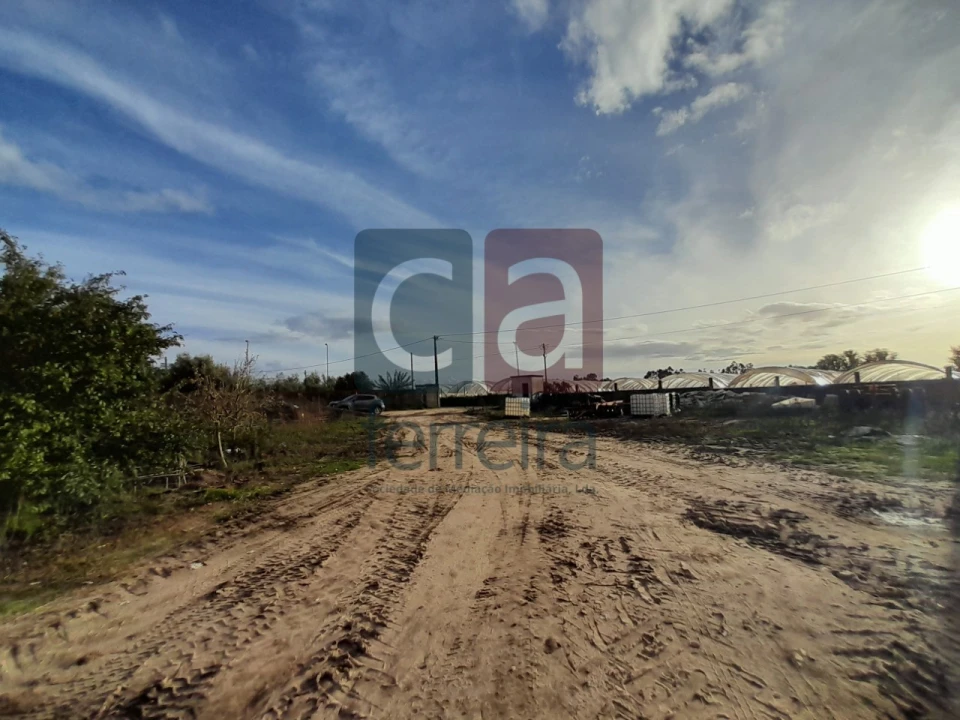 Terreno para Venda em Alpiarça Foto 21