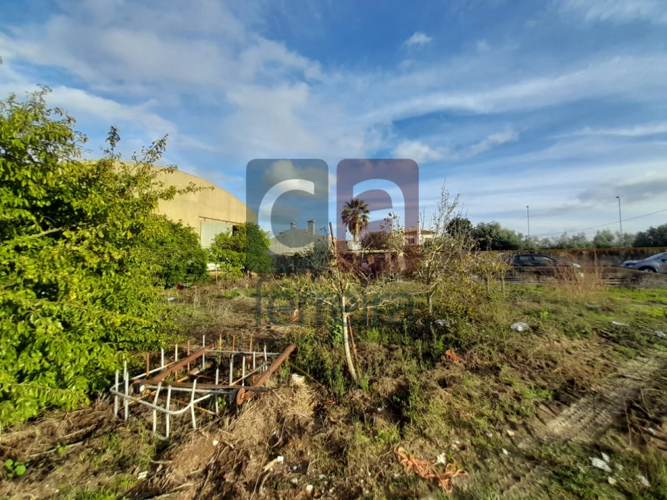 Terreno para Venda em Alpiarça Foto 23