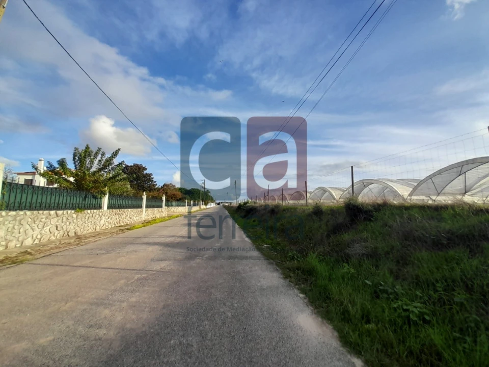 Terreno para Venda em Alpiarça Foto 25