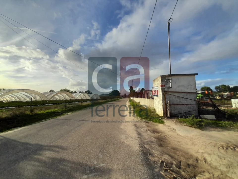 Terreno para Venda em Alpiarça Foto 26