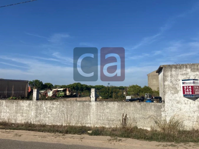 Terreno para Venda em Alpiarça Foto 5