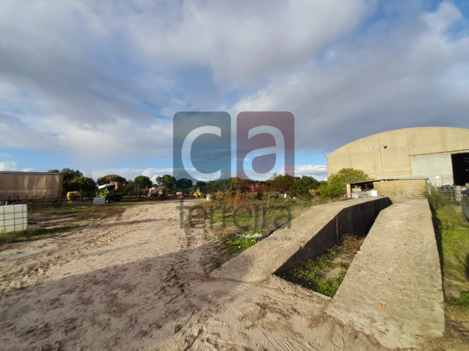 Terreno para Venda em Alpiarça Foto 6