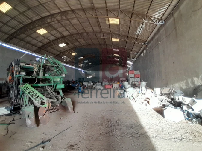 Terreno para Venda em Alpiarça Foto 7