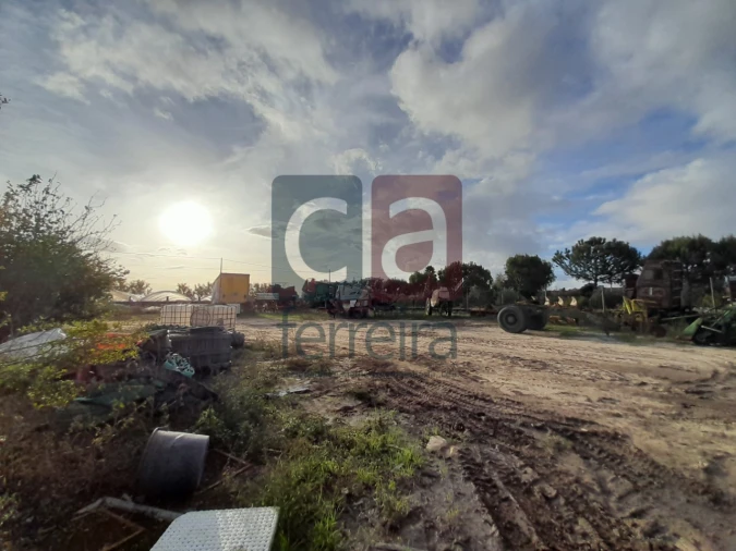 Terreno para Venda em Alpiarça Foto 11