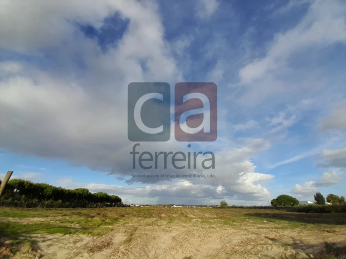 Terreno para Venda em Alpiarça Foto 14