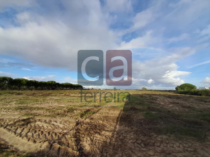 Terreno para Venda em Alpiarça Foto 15