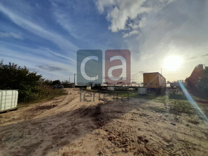 Terreno para Venda em Alpiarça Foto 20