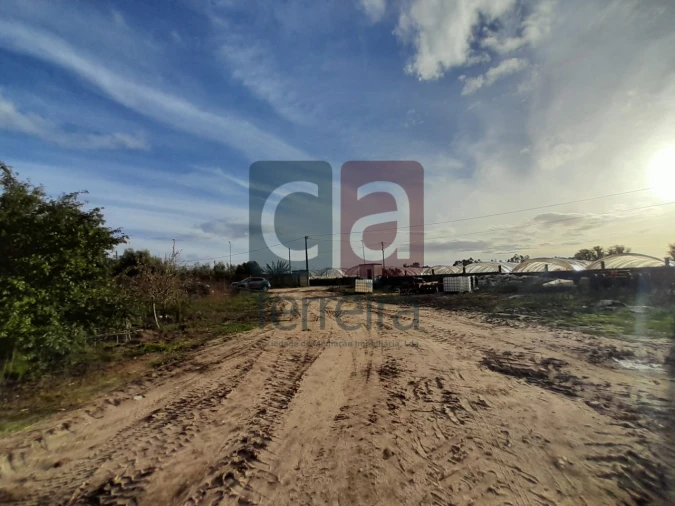 Terreno para Venda em Alpiarça Foto 21