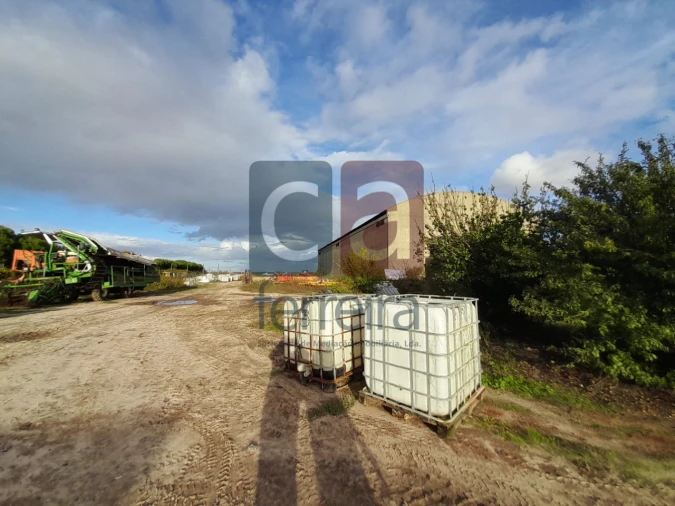 Terreno para Venda em Alpiarça Foto 22