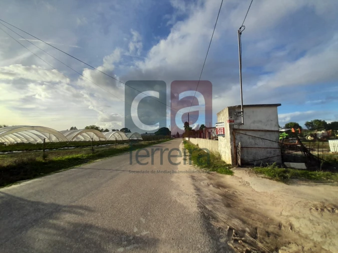 Terreno para Venda em Alpiarça Foto 26