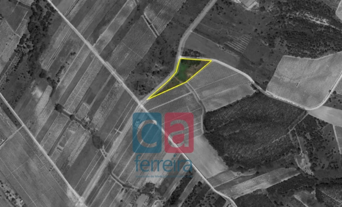 Terreno para Venda em Alpiarça Foto 13