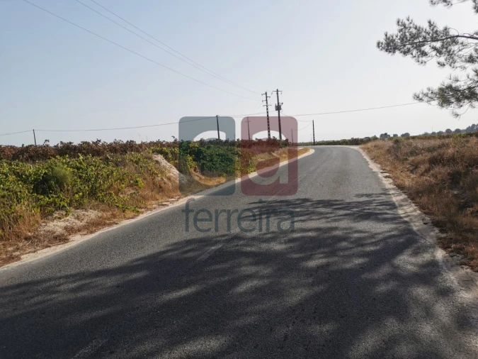 Terreno para Venda em Alpiarça Foto 7