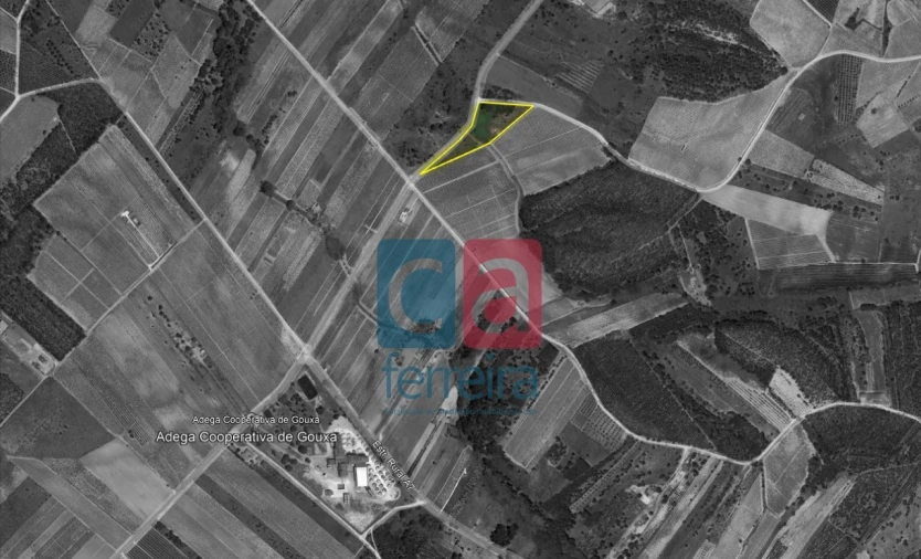 Terreno para Venda em Alpiarça Foto 14
