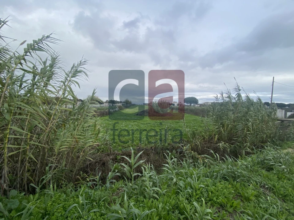 Terreno para Venda em Almeirim Foto 3