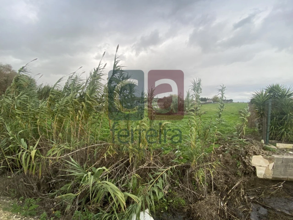 Terreno para Venda em Almeirim Foto 5
