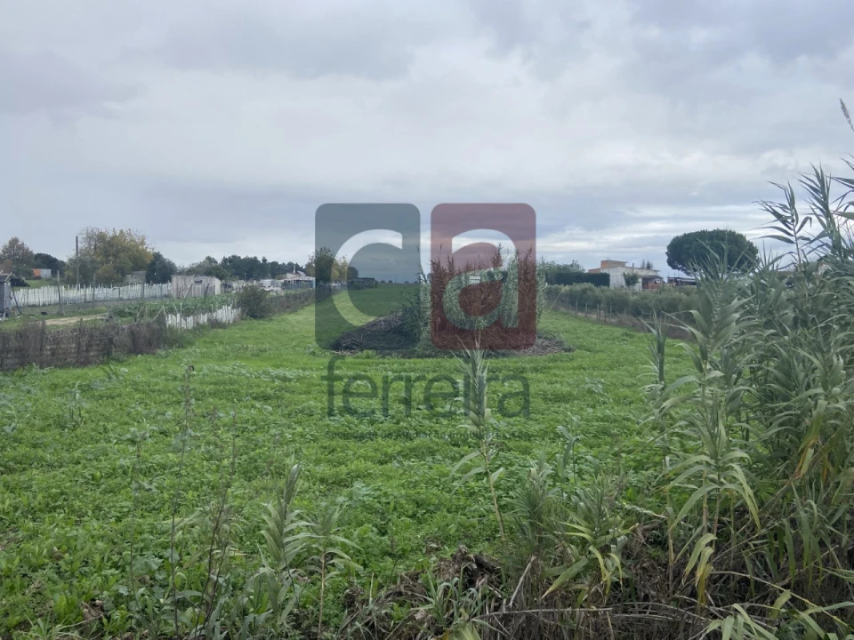 Terreno para Venda em Almeirim Foto 7