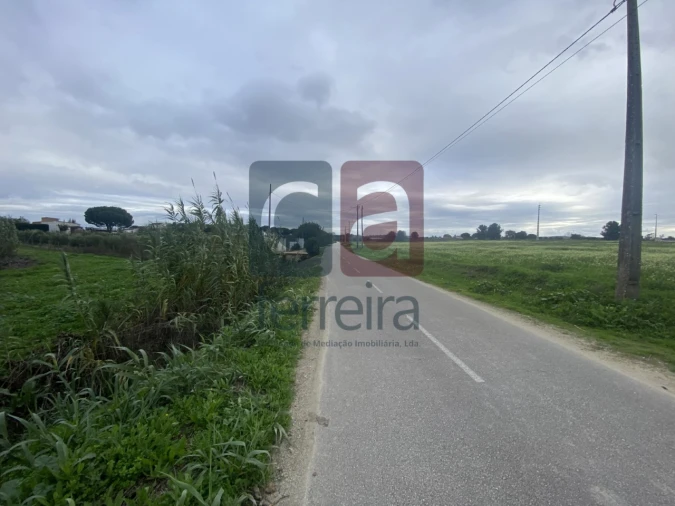 Terreno para Venda em Almeirim Foto 8
