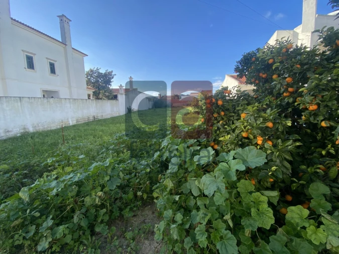 Terreno para Venda em Almeirim Foto 5