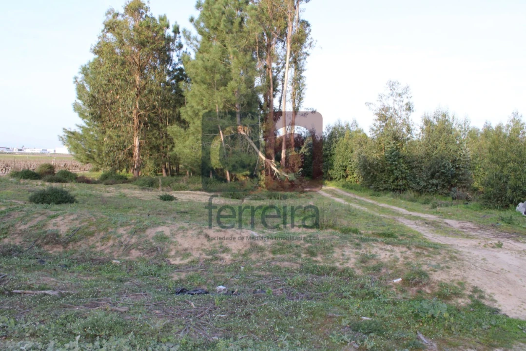 Terreno para Venda em Almeirim Foto 13