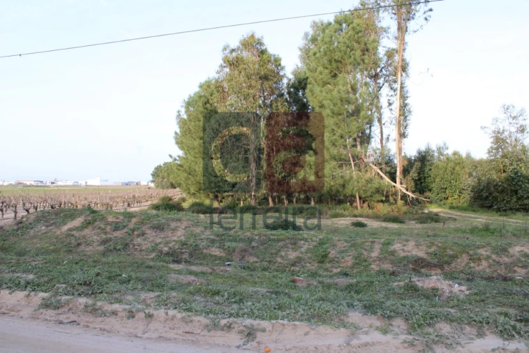 Terreno para Venda em Almeirim Foto 2
