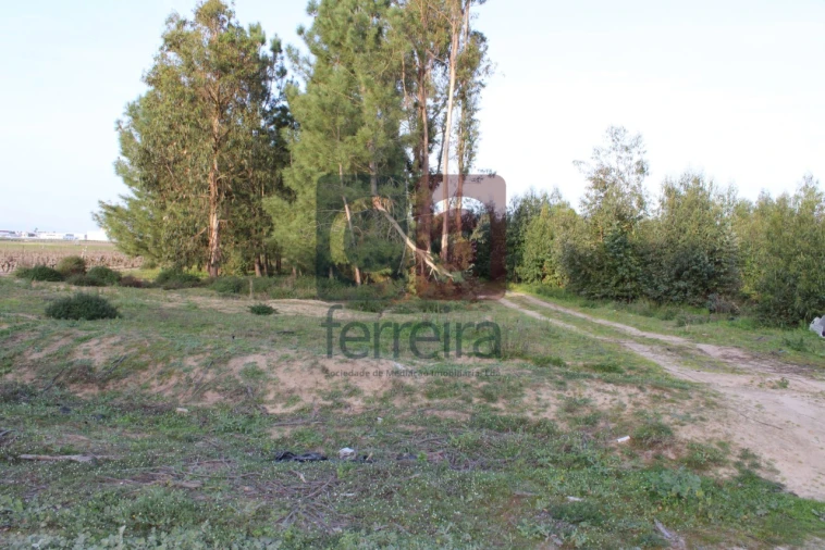Terreno para Venda em Almeirim Foto 13