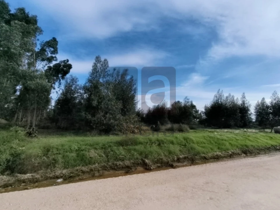 Terreno para Venda em Almeirim Foto 5