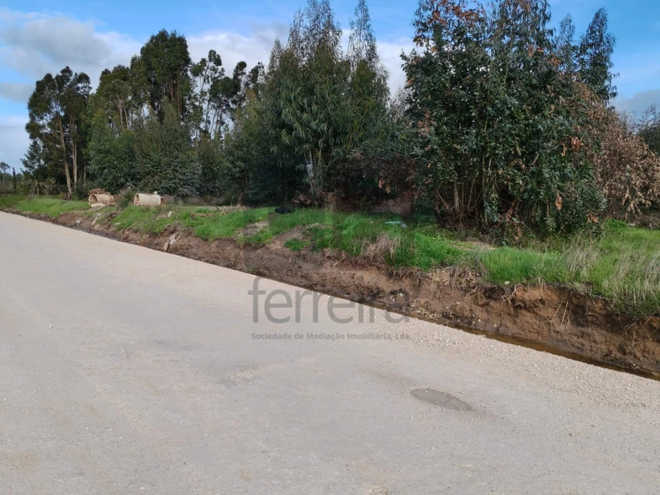 Terreno para Venda em Almeirim Foto 8